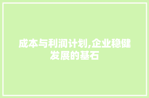 成本与利润计划,企业稳健发展的基石