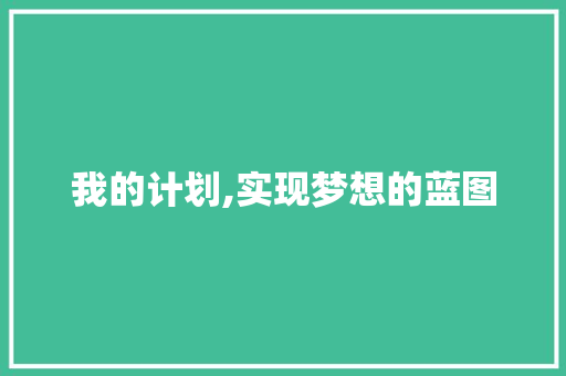 我的计划,实现梦想的蓝图