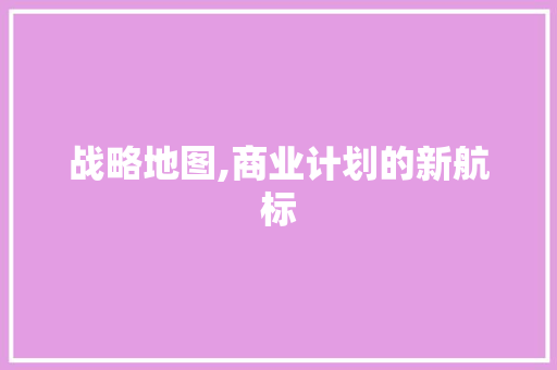 战略地图,商业计划的新航标