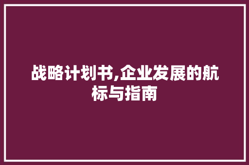 战略计划书,企业发展的航标与指南