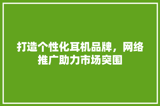 打造个性化耳机品牌，网络推广助力市场突围