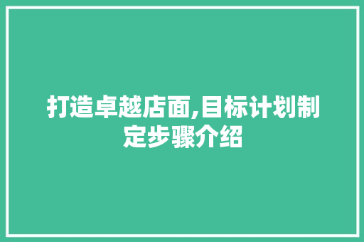 打造卓越店面,目标计划制定步骤介绍