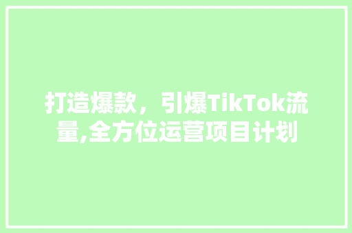 打造爆款，引爆TikTok流量,全方位运营项目计划