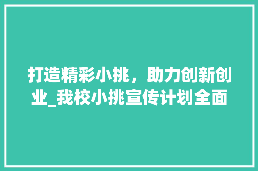 打造精彩小挑，助力创新创业_我校小挑宣传计划全面启动