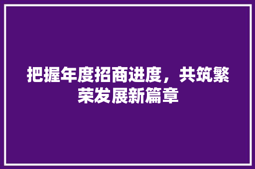 把握年度招商进度，共筑繁荣发展新篇章