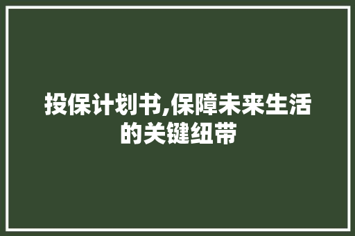 投保计划书,保障未来生活的关键纽带