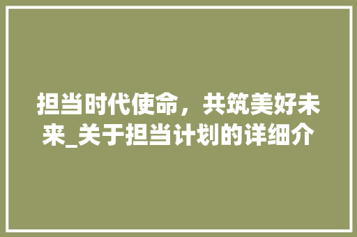 担当时代使命，共筑美好未来_关于担当计划的详细介绍