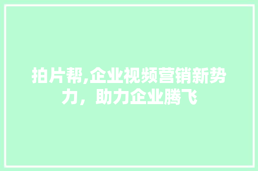 拍片帮,企业视频营销新势力，助力企业腾飞