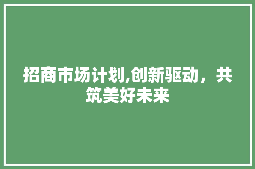 招商市场计划,创新驱动，共筑美好未来