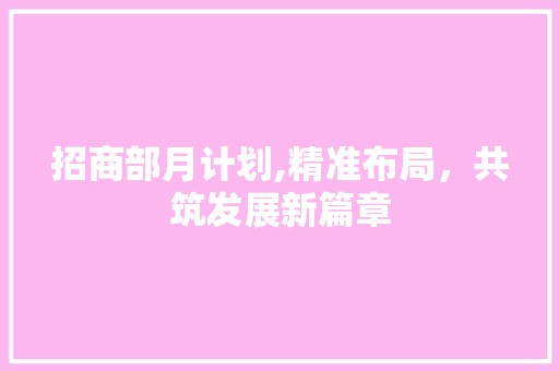 招商部月计划,精准布局，共筑发展新篇章