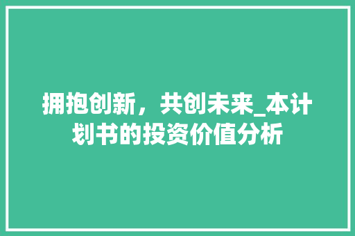 拥抱创新，共创未来_本计划书的投资价值分析