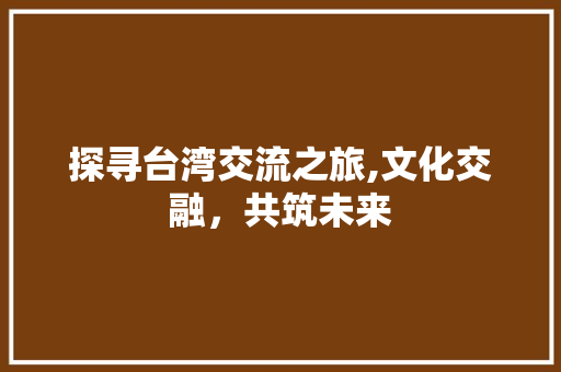 探寻台湾交流之旅,文化交融，共筑未来