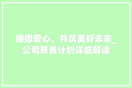 播撒爱心，共筑美好未来_公司慈善计划详细解读