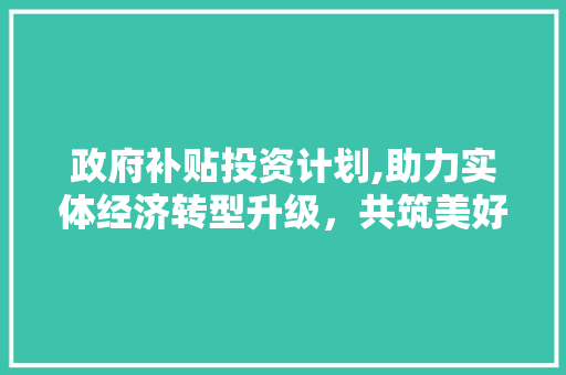 政府补贴投资计划,助力实体经济转型升级，共筑美好未来