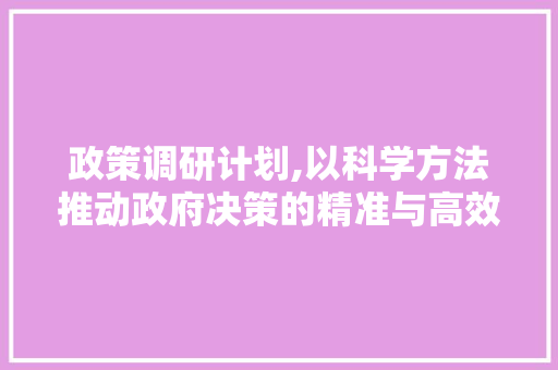 政策调研计划,以科学方法推动政府决策的精准与高效