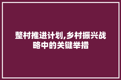 整村推进计划,乡村振兴战略中的关键举措