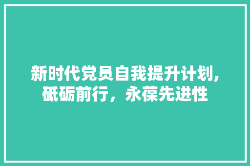 新时代党员自我提升计划,砥砺前行，永葆先进性