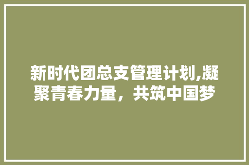 新时代团总支管理计划,凝聚青春力量，共筑中国梦