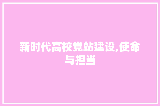 新时代高校党站建设,使命与担当