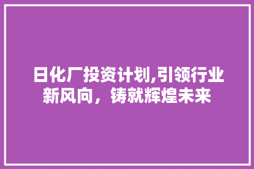 日化厂投资计划,引领行业新风向，铸就辉煌未来