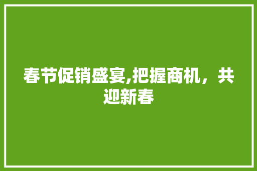 春节促销盛宴,把握商机，共迎新春