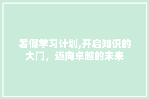 暑假学习计划,开启知识的大门，迈向卓越的未来