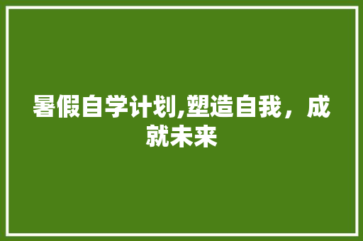 暑假自学计划,塑造自我，成就未来