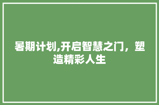 暑期计划,开启智慧之门，塑造精彩人生