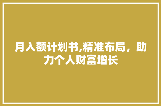 月入额计划书,精准布局，助力个人财富增长