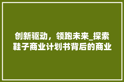 创新驱动，领跑未来_探索鞋子商业计划书背后的商业奥秘