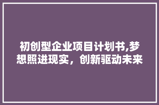 初创型企业项目计划书,梦想照进现实，创新驱动未来