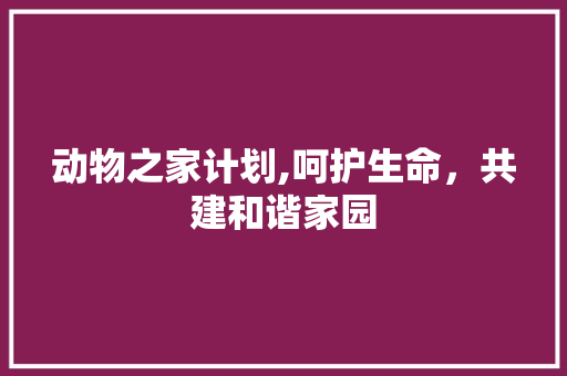 动物之家计划,呵护生命，共建和谐家园