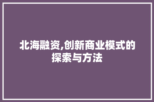 北海融资,创新商业模式的探索与方法