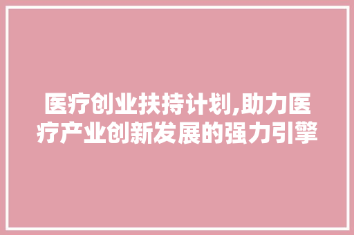 医疗创业扶持计划,助力医疗产业创新发展的强力引擎 职场范文