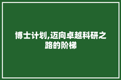 博士计划,迈向卓越科研之路的阶梯