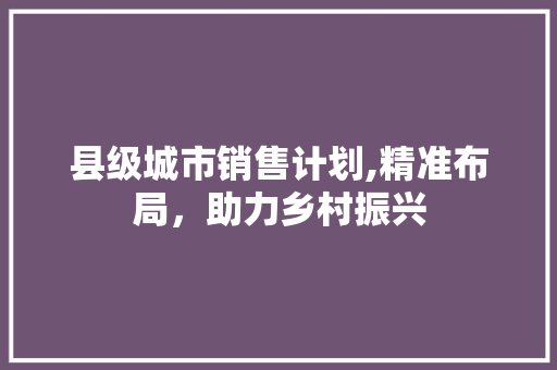 县级城市销售计划,精准布局，助力乡村振兴