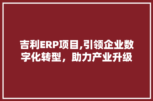 吉利ERP项目,引领企业数字化转型，助力产业升级