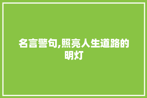 名言警句,照亮人生道路的明灯