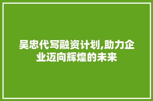 吴忠代写融资计划,助力企业迈向辉煌的未来