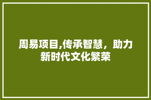 周易项目,传承智慧，助力新时代文化繁荣