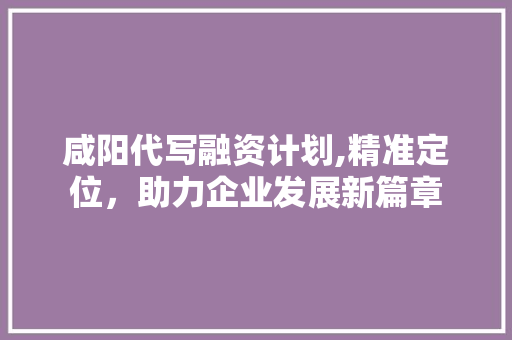 咸阳代写融资计划,精准定位，助力企业发展新篇章