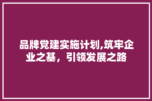 品牌党建实施计划,筑牢企业之基，引领发展之路