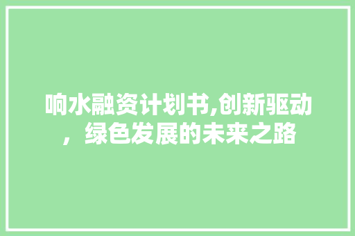 响水融资计划书,创新驱动，绿色发展的未来之路