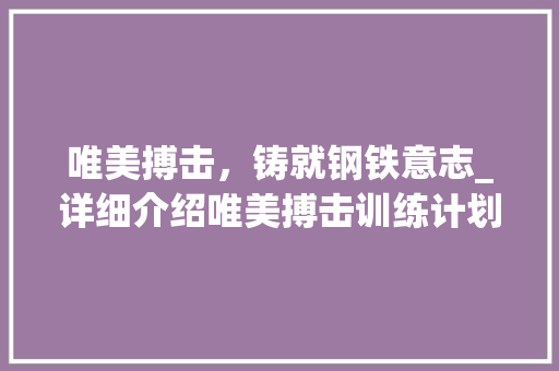 唯美搏击，铸就钢铁意志_详细介绍唯美搏击训练计划 工作总结范文