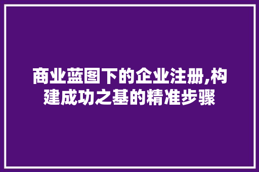 商业蓝图下的企业注册,构建成功之基的精准步骤