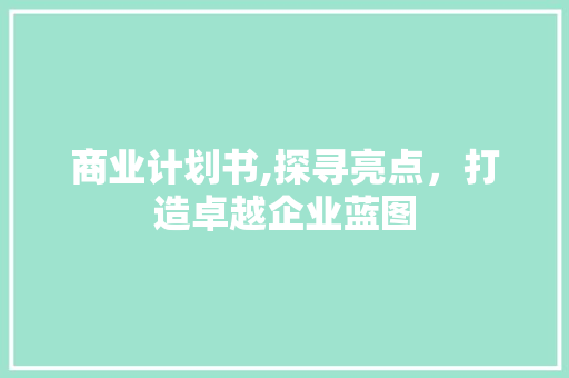 商业计划书,探寻亮点，打造卓越企业蓝图