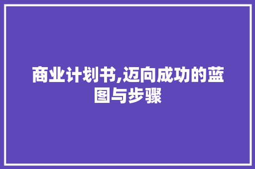 商业计划书,迈向成功的蓝图与步骤 综述范文