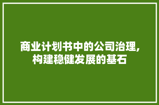 商业计划书中的公司治理,构建稳健发展的基石