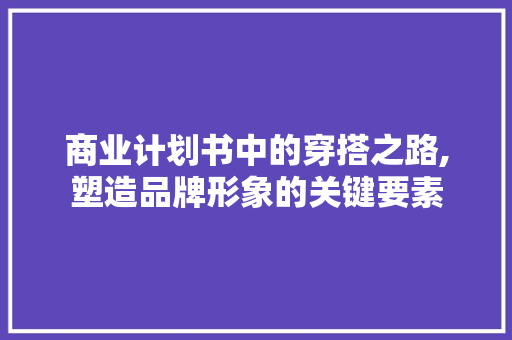 商业计划书中的穿搭之路,塑造品牌形象的关键要素