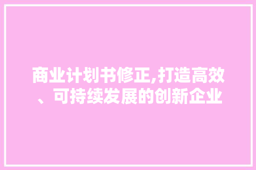 商业计划书修正,打造高效、可持续发展的创新企业